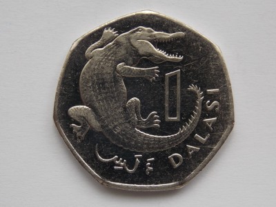 1 DALASI 2016 GAMBIA foto