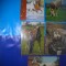 HOPCT LOT NR 406 CAI -FAUNA -5 CARTI POSTALE-CIRCULATE