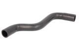 Furtun radiator RENAULT MEGANE I (BA0/1) (1995 - 2004) THERMOTEC DWR056TT