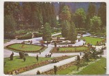 bnk cp Borsec - Parcul Central - circulata - marca fixa