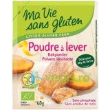 Praf de Copt fara Gluten si fara Fosfati Ecologic/Bio 40g