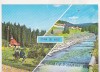 Bnk cp Stana de Vale - Vedere - necirculata - marca fixa, Printata, Bihor