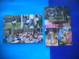 HOPCT LOT 2797 TEBEA-SCOALA IN ...- JUD ALBA -2 CARTI POSTALE-NECIRCULATE