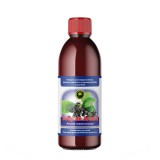 Sirop de Aronia cu Zahar 500 mililitri Hypericum