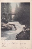 Slanic Moldova. Cascada (circulata 1903)