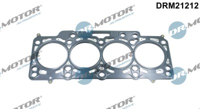 Garnitura, Chiulasa 310763 DRM21212 foto