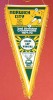 Fanion fotbal - NORWICH CITY FC (Anglia) - dimensiuni mari 54x23 cm