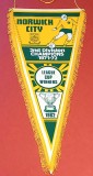 Fanion fotbal - NORWICH CITY FC (Anglia) - dimensiuni mari 54x23 cm