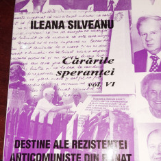 CARARILE SPERANTEI VOL 6 REZISTENTA ANTICOMUNISTA DIN BANAT ILEANA SILVEANU