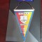 fanion A.S. Petrolul Zadareni