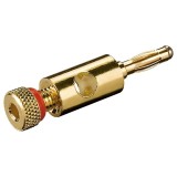 Borna 4mm tata fir aurita surub rosie