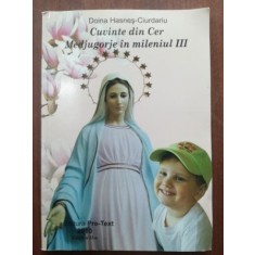 Cuvinte din cer. Medjugorje in mileniul III- Doina Hasnes-Ciurdariu