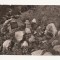 SG11- Carte Postala - Germania- Izvorul Dunarii, circulata