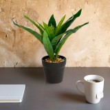 Planta artificiala decorativa verde 20 cm, in ghiveci, design realist, decor casa birou