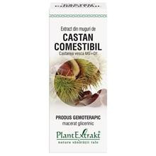 Extract Muguri Castan Comestibil 50ml PlantExtrakt Cod: PLAX.00046 foto