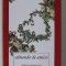 IUBIRE SI GIMNASTICA de EDMONDO DE AMICIS , 2012