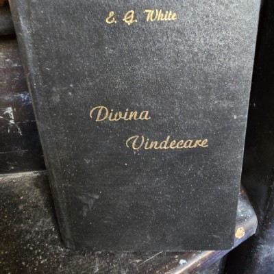 E. G. White - Divina Vindecare foto
