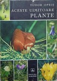 ACESTE UIMITOARE PLANTE-TUDOR OPRIS-347639