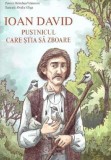 Ioan David pustnicul care stia sa zboare - Supergraph