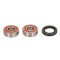 Kit Rulmenti Roata YAMAHA YZF-R125 125 2008-2013