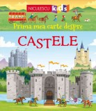 Castele. Prima mea carte despre - Dr. Abigail Wheatley