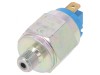 Presostat Presiune Relativă NC G 1/8 DS-4000-EU