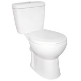 Cumpara ieftin Toaletă monobloc Niagara Duo fără rampă, cu evacuare &icirc;n spate și scaun