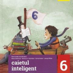 Caietul inteligent - Clasa 6 - Florin Ionita, Elena Carstocea, Monica H. Columban, Dorina Kudor, Lenuta Sfirlea