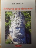PELEGRIN PRIN VIATA MEA-DAN CAPRUCIU-234983
