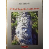 PELEGRIN PRIN VIATA MEA-DAN CAPRUCIU-234983