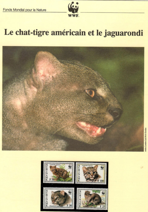 Suriname 1995-Pisica tigru și jaguarondi, set WWF, 6 poze, MNH (vezi descrierea)