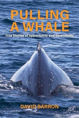 Pulling a Whale: True Stories of Opportunity and Serendipity foto