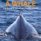 Pulling a Whale: True Stories of Opportunity and Serendipity