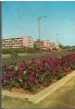 CPI B14659 - CARTE POSTALA - EFORIE SUD, Circulata, Fotografie
