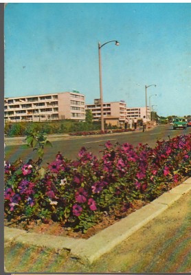 CPI B14659 - CARTE POSTALA - EFORIE SUD foto