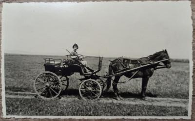 Fetita cu pusca de vanatoare, in caruta, Romania interbelica// fotografie foto