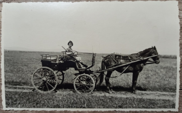 Fetita cu pusca de vanatoare, in caruta, Romania interbelica// fotografie