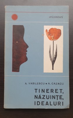 Tineret, năzuințe, idealuri - A. Vasilescu, A. Cazacu (colecția ORIZONTURI) foto