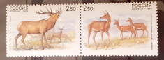 Rusia 1999 fauna, cerbi, caprioare, SERIE 2v. Pereche mnh foto