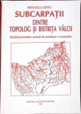 SUBCARPATII DINTRE TOPOLOG SI BISTRITA VALCII-MIHAELA DINU-352819