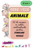 Cartonașe Bebe vede, Animale - AmoNA