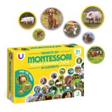 Set magneti Montessori cu animale de la ferma, 36 piese, Dodo