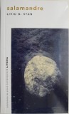 Salamandre - Liviu G. Stan - Roman Beletristica