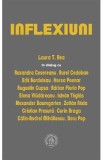Inflexiuni. Dialoguri - Laura T. Ilea