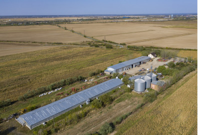 Ferma Agricola si Zootehnica foto