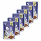 Pungă BRIT Premium Cat Vită &icirc;n jeleu 6 x 85 g