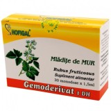 Gemoderivat Mladite Mur Hofigal 30mdz