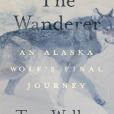 The Wanderer: An Alaska Wolf's Final Journey