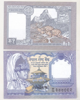 bnk bn Nepal 1 rupie ( 1991-) unc foto