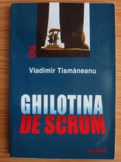 Vladimir Tismaneanu - Ghilotina de scrum foto